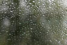 Rainy window