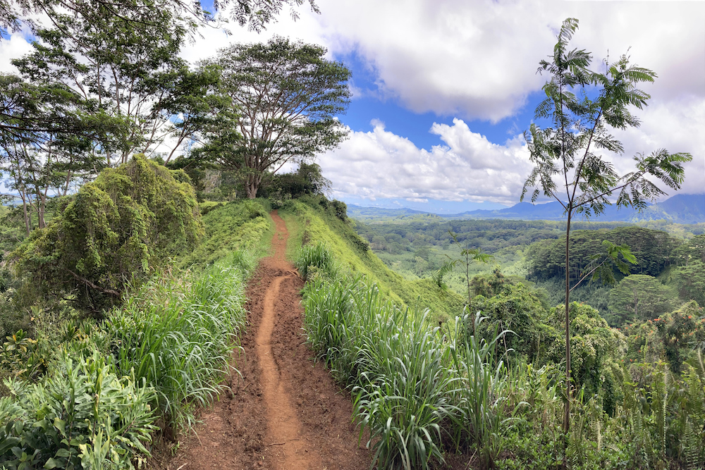 best kauai hikes famous kauai hikes